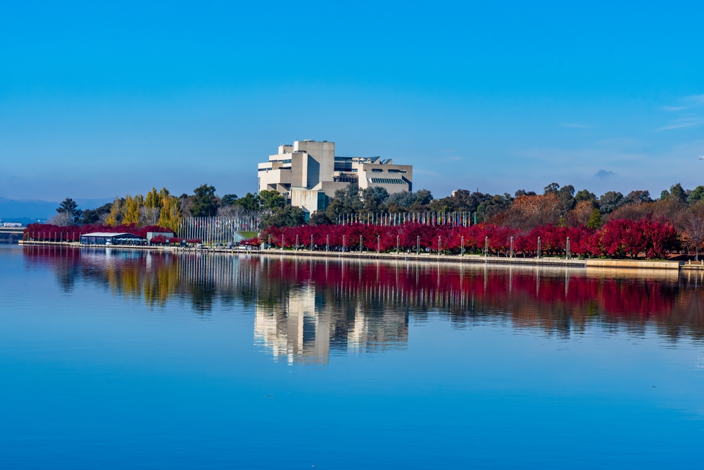 National Gallery of Australia electronic security panel appointee